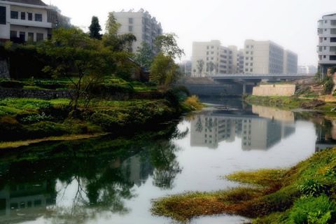 『隨華全，觀天下』 ——走進漣水