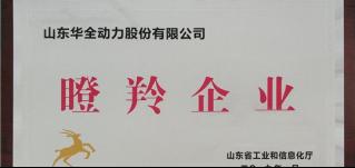 新春將至，喜報(bào)頻傳！華全集團(tuán)被認(rèn)定為山東省瞪羚企業(yè)！